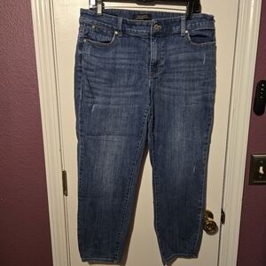 12P Talbots Boyfriend flawless 5 pocket jeans.